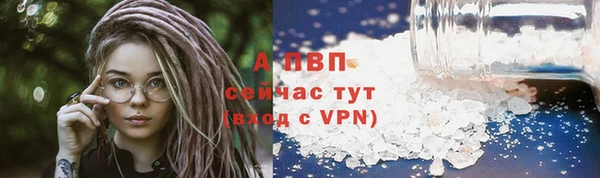 мяу мяу мука Переславль-Залесский