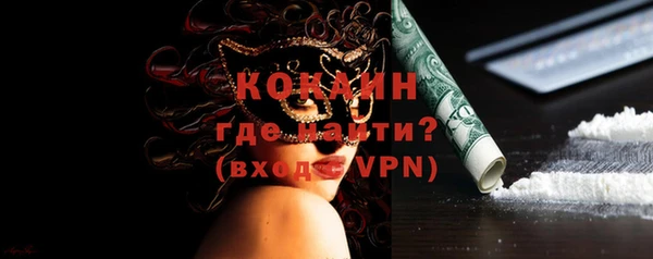стаф Пересвет