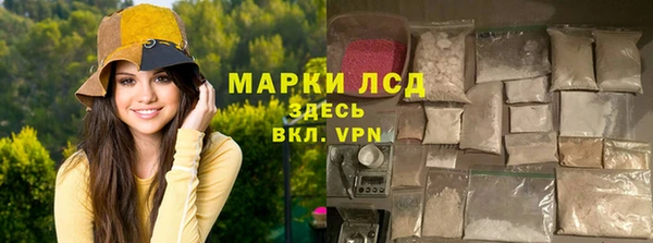 стаф Пересвет