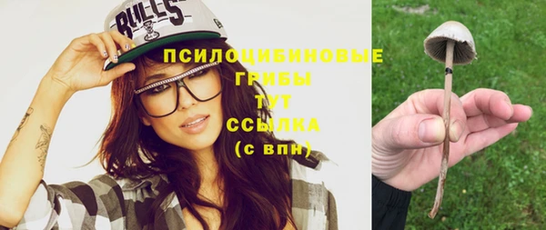 стаф Пересвет
