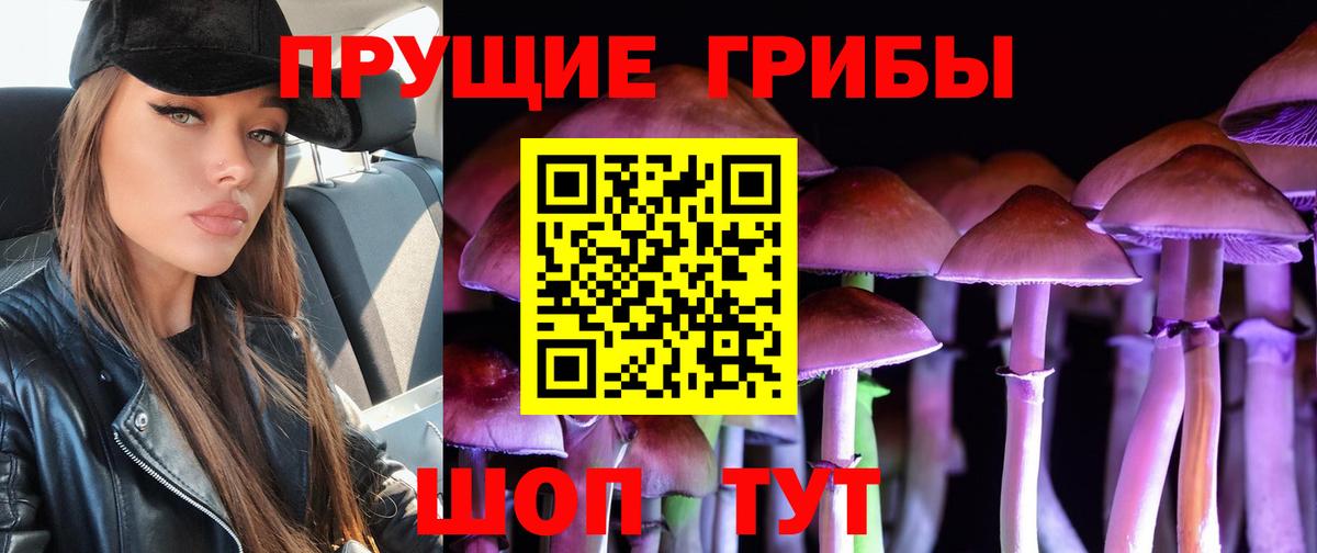 Абакан  Псилоцибиновые грибы Cubensis  Вход с VPN 